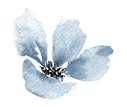 Decorative shape 4